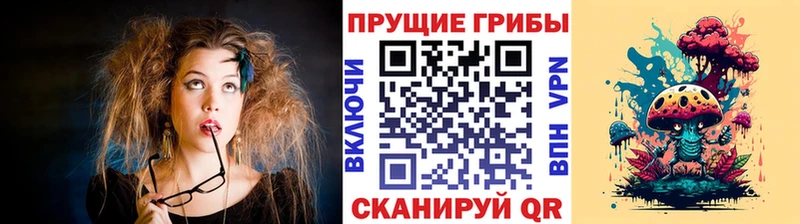 наркота  Переславль-Залесский  Псилоцибиновые грибы мицелий 